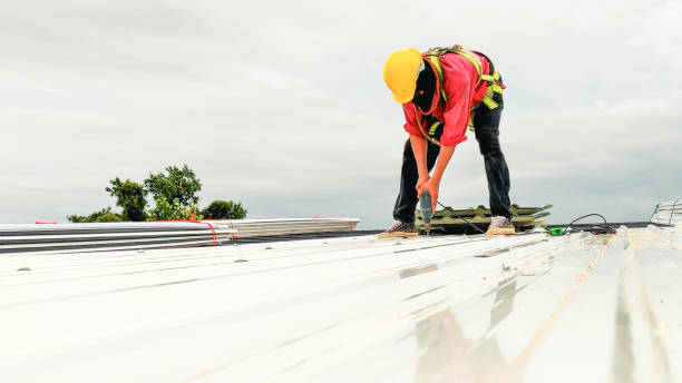 Fast & Reliable Emergency Roof Repairs in Mayville, MI